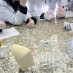 Alunos da 2ª série do Ensino Médio exploraram, em aula prática de Química, os conceitos de termoquímica e cinética química com experimentos dinâmicos e investigativos