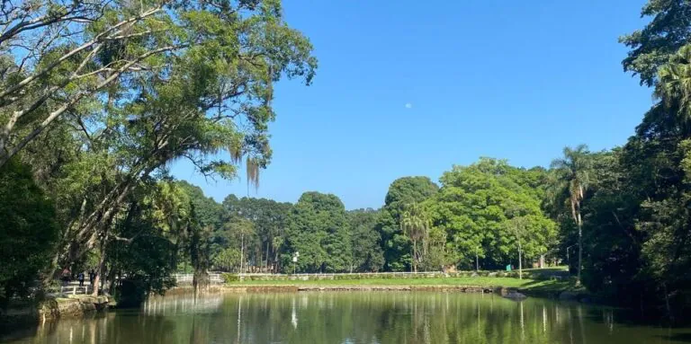 Lago rodeado por árvores no Parque da Zona Norte de São Paulo em um dia ensolarado com céu azul