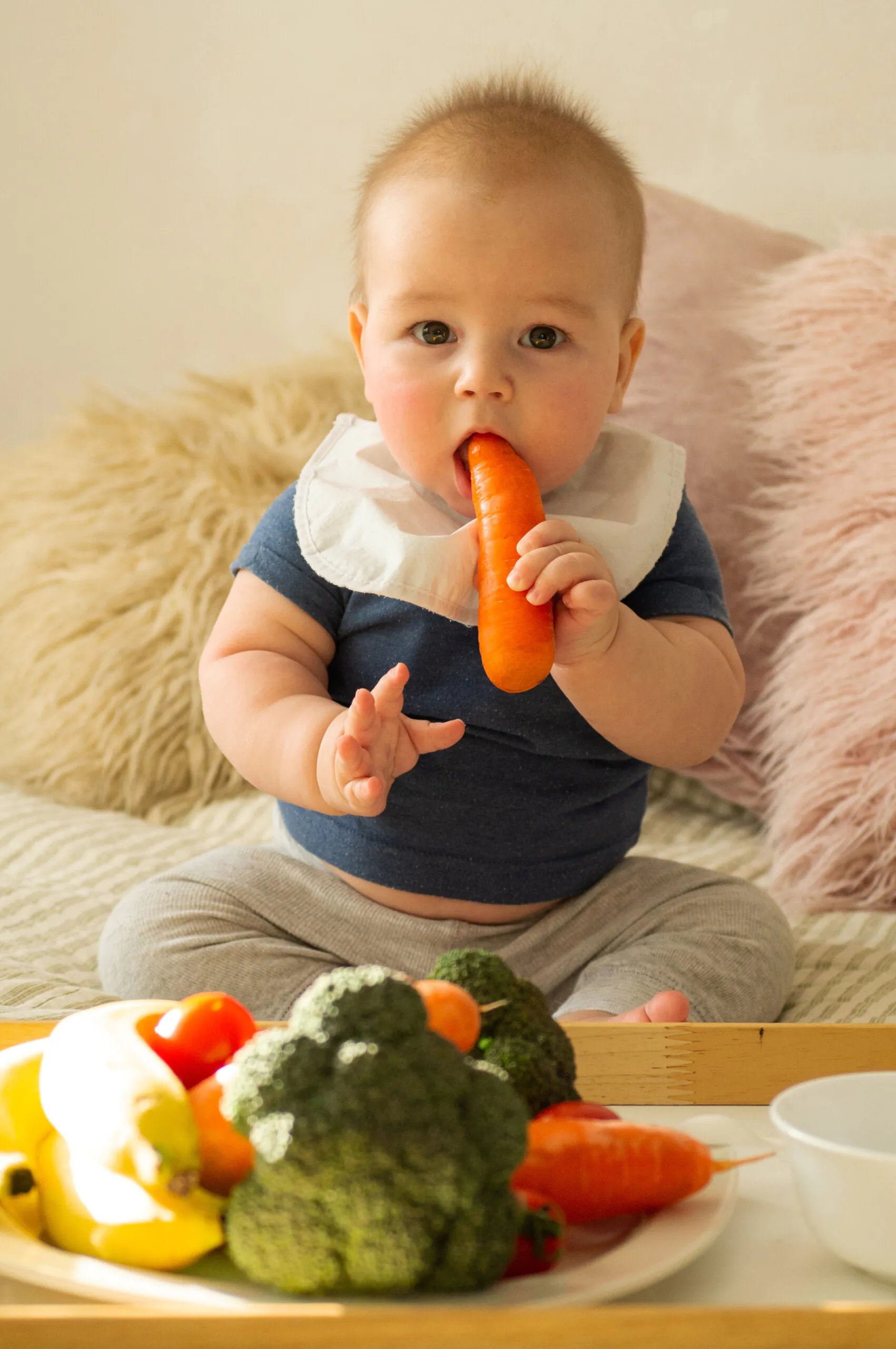 Bebê sentado com um babador comendo uma cenoura e um prato de legumes